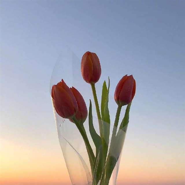 心会跟爱一起走的说说 心会跟爱一起走经典语录