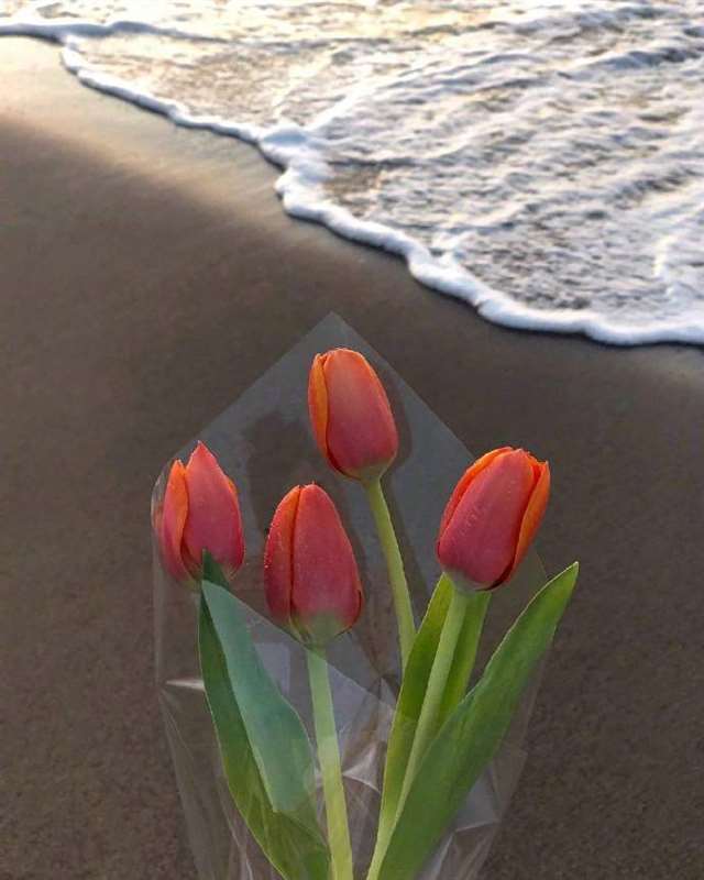 心会跟爱一起走的说说 心会跟爱一起走经典语录