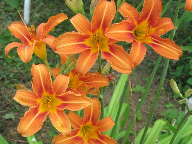 当一个男人骂你是贱人