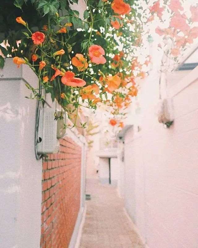 治愈人心的爱情短句,句句精美暖心,送给疲惫的你!