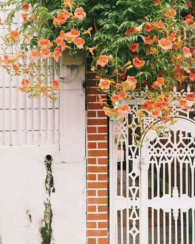 治愈人心的爱情短句,句句精美暖心,送给疲惫的你!