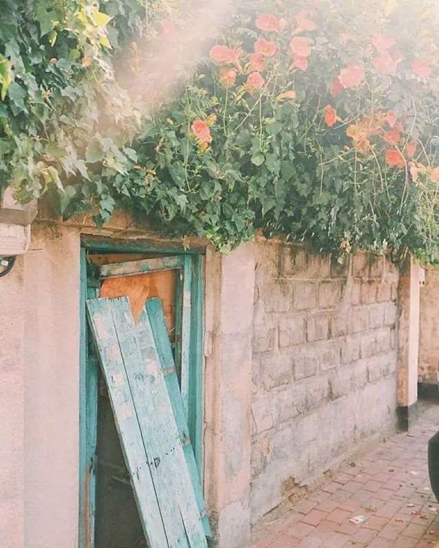 治愈人心的爱情短句,句句精美暖心,送给疲惫的你!