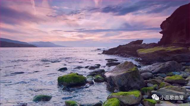 暖心短句情感短句,温馨的问候简短问候语.