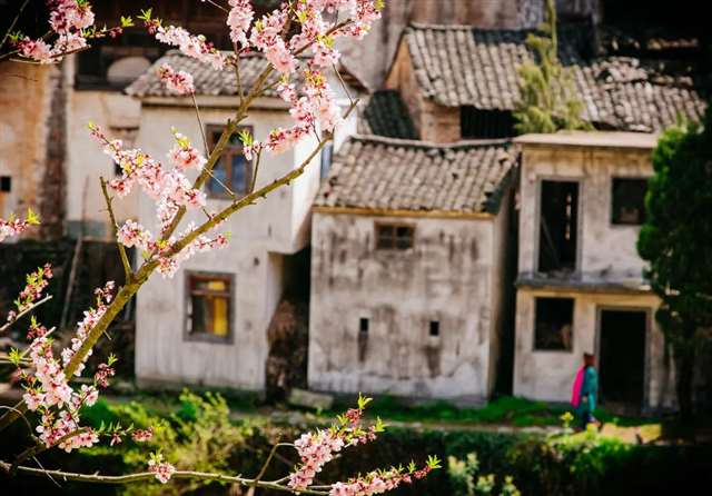 寻一处静谧,享一份安然