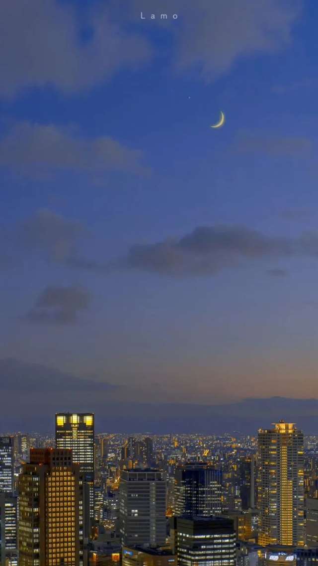 你读过最独特高冷的句子是什么?