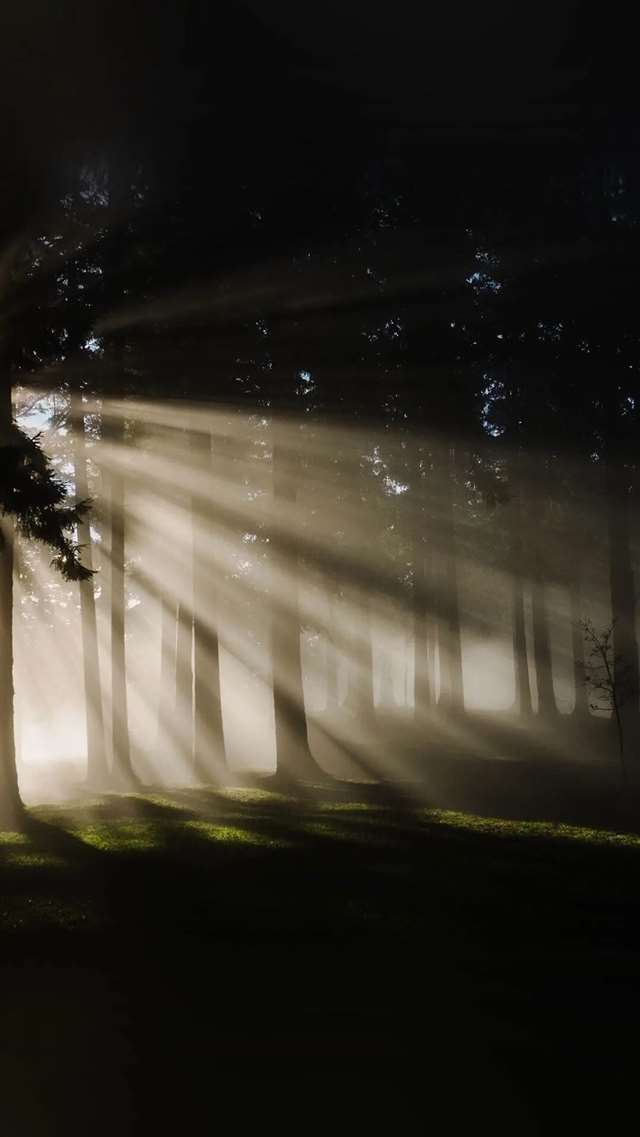 你与太阳,皆可发光.!| 壁纸 | 头像