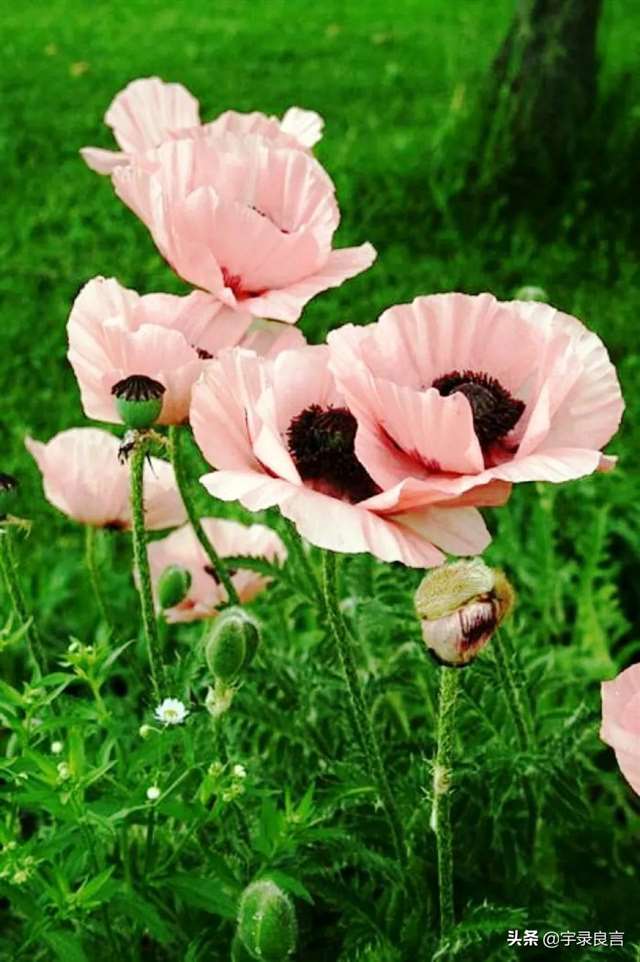 适合发说说的感悟句子,深刻走心值得你用心品读