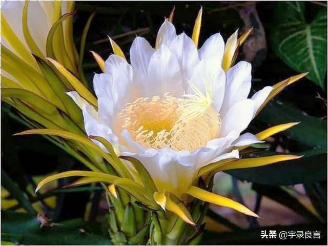 适合发说说的感悟句子,深刻走心值得你用心品读