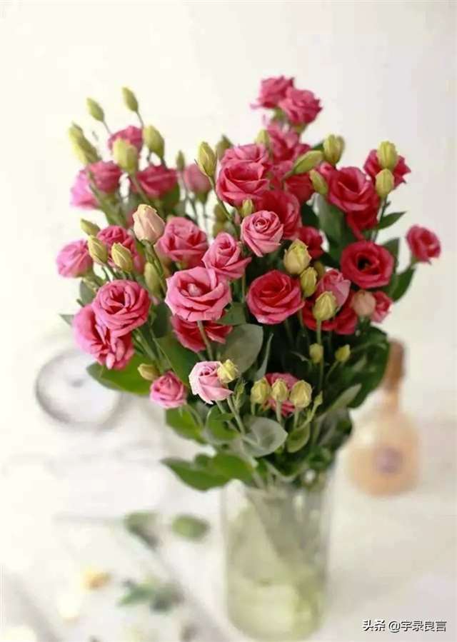 适合发说说的感悟句子,深刻走心值得你用心品读