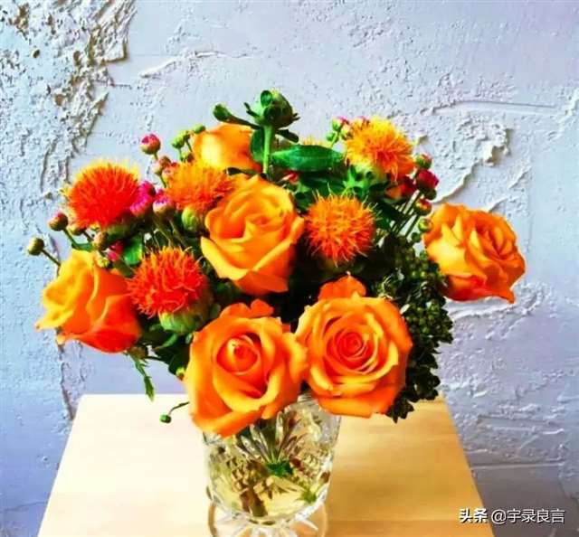 适合发说说的感悟句子,深刻走心值得你用心品读