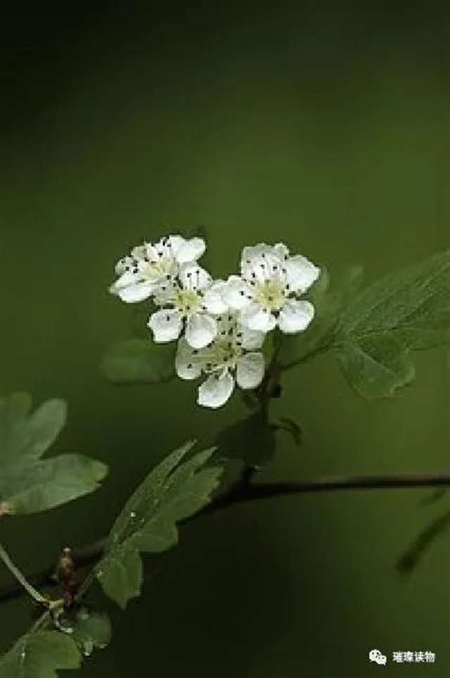 碰触心灵的经典说说,深刻走心,感悟人生