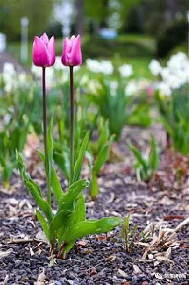 碰触心灵的经典说说,深刻走心,感悟人生