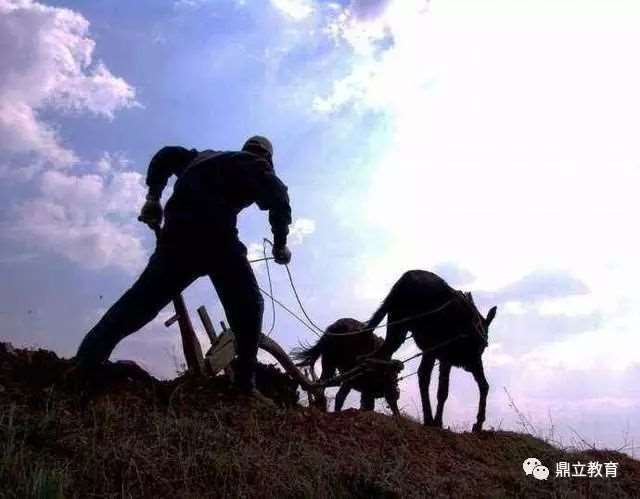 农村经典的10句老话,句句在理,你听过吗?