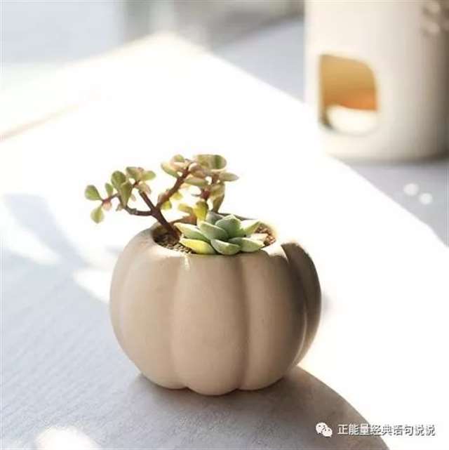 人心是喂不饱的(句句在理)