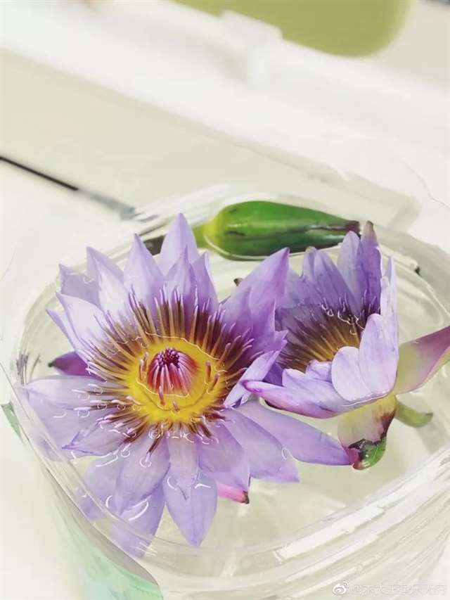 心寒的句子 真心付出换来却是寒心