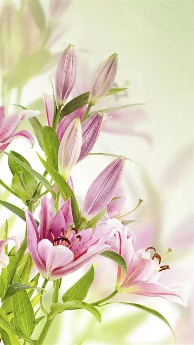 心寒的句子 真心付出换来却是寒心