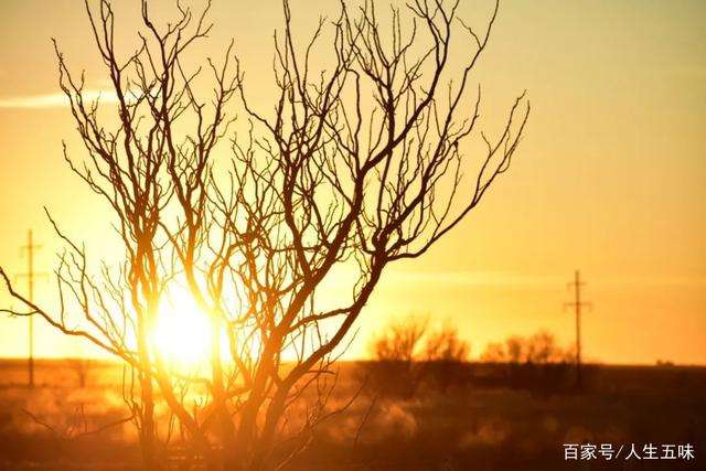 善良有尺,忍让有度下一句