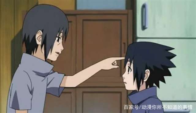 一句话概括鼬的一生