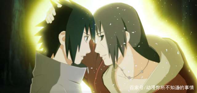 一句话概括鼬的一生