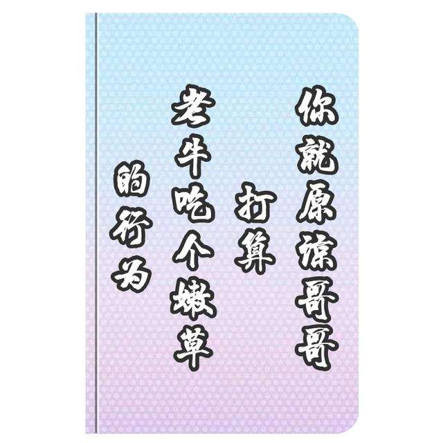 桑稚对段嘉许说的话