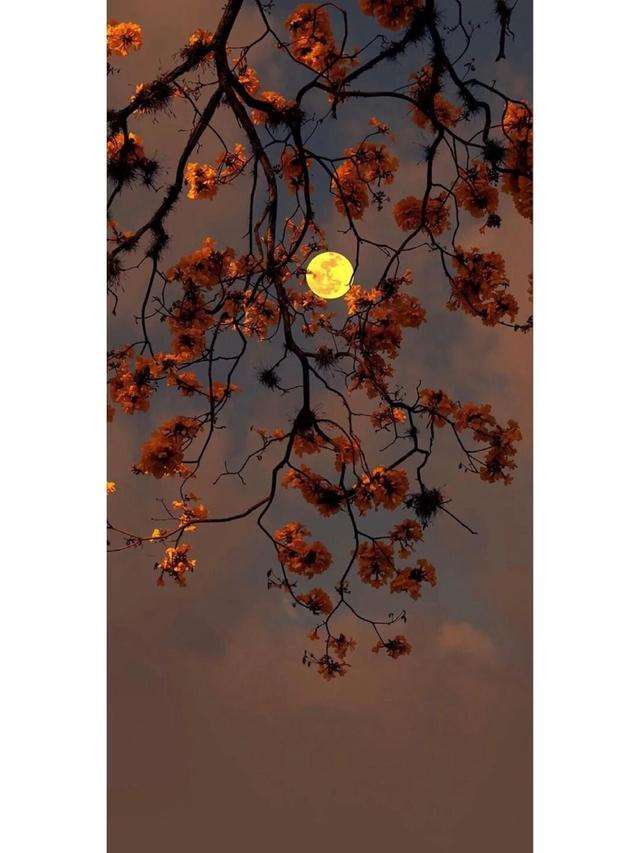 小学生励志句子 小学生努力上进的句子