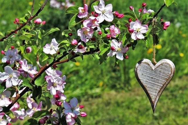 令人心碎的情感句子,太深入人心了