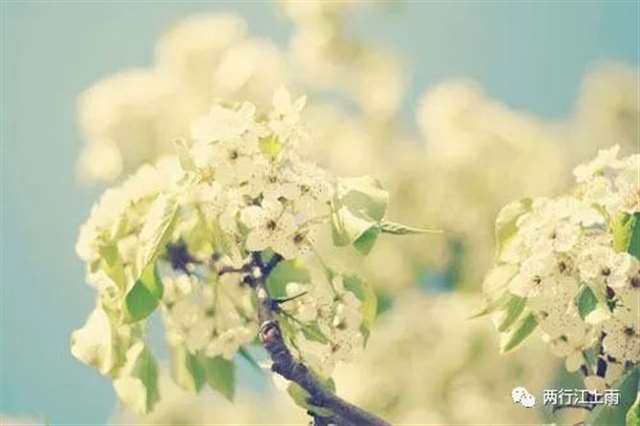 唯美走心的情感语录句子,精辟入心的治愈系文字