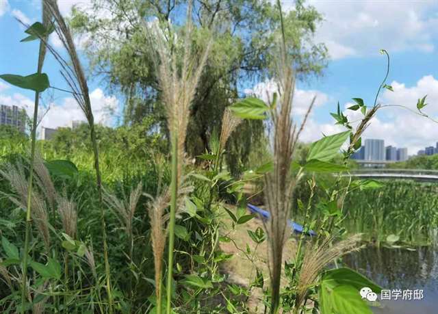 这10句话,总有一句说中你的心事!