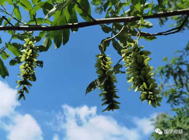 这10句话,总有一句说中你的心事!