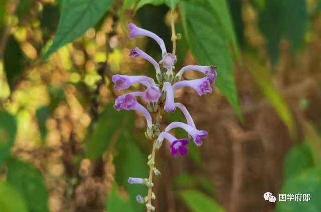 这10句话,总有一句说中你的心事!