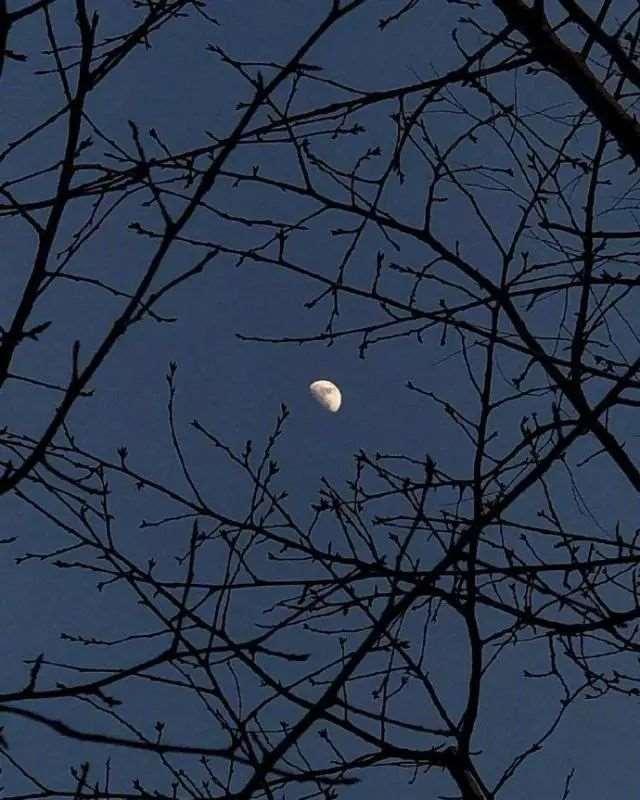 深夜失眠的经典句子,哪一句说中了你的心事?