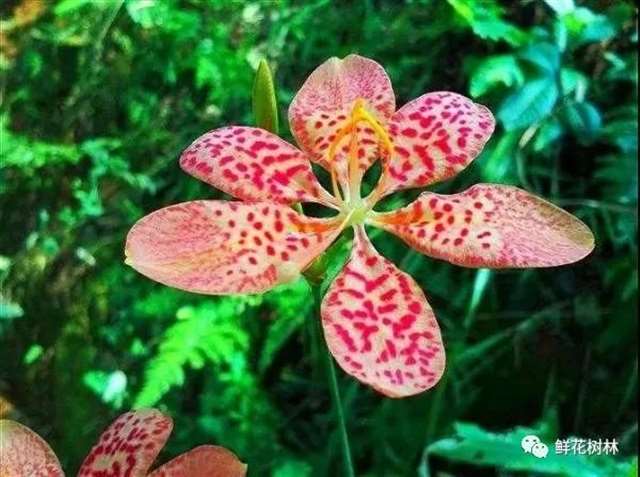 美到心碎的简短唯美句子:往事不再过问,未来共赴前程