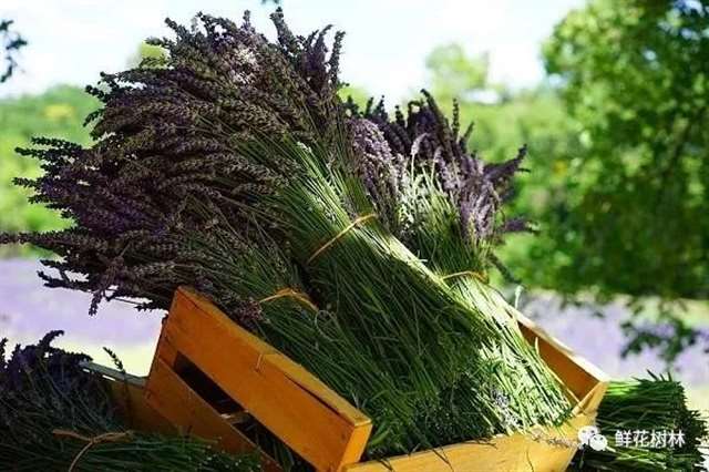 美到心碎的简短唯美句子:往事不再过问,未来共赴前程