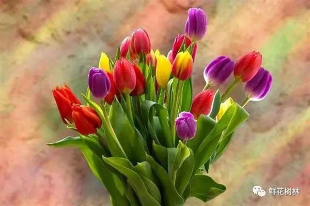 美到心碎的简短唯美句子:往事不再过问,未来共赴前程