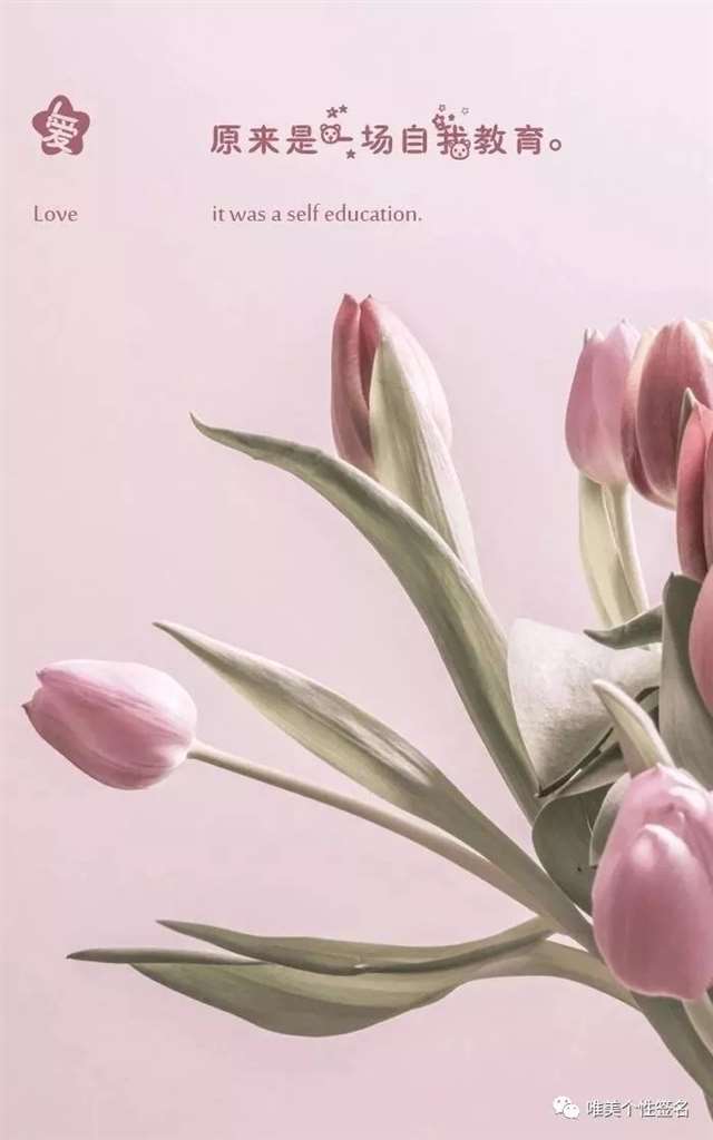 读到心碎的伤感句子