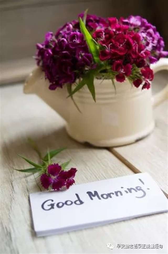 7月最流行的正能量说说经典语录句子,7月适合发朋友圈的励志句子