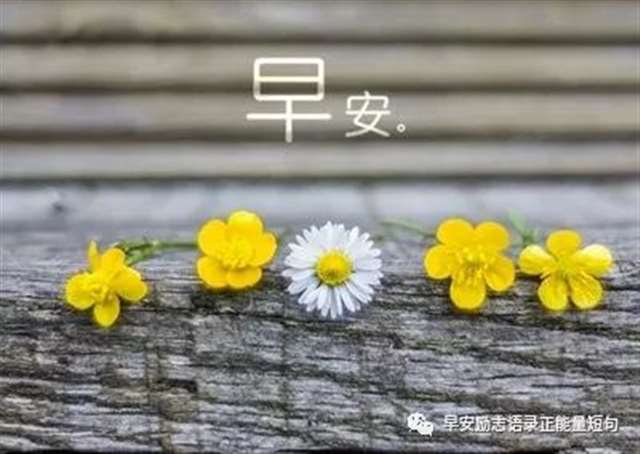 7月最流行的正能量说说经典语录句子,7月适合发朋友圈的励志句子