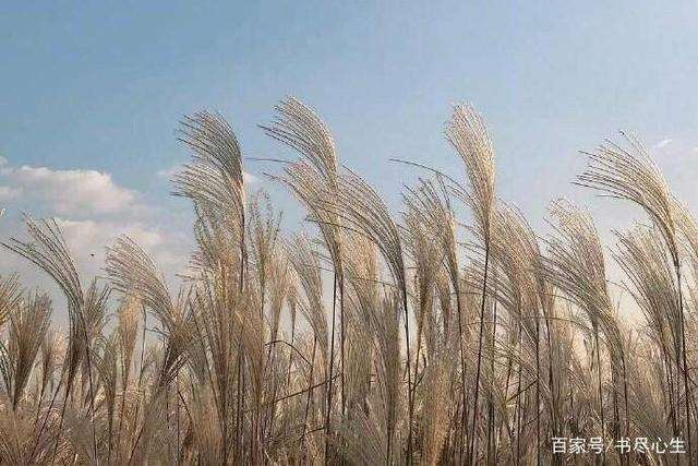 不忘初衷的唯美句子 不忘初心的励志句子