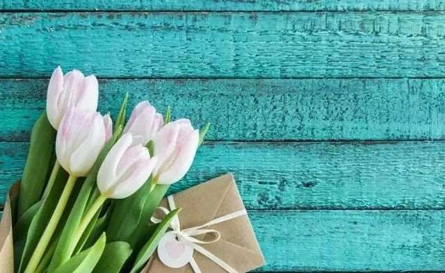 有些事无需计较,时间会证明一切.唯美语录10句