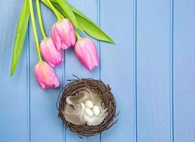 有些事无需计较,时间会证明一切.唯美语录10句