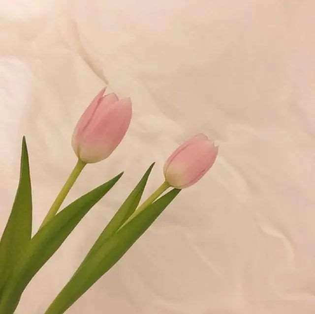 说到心坎的感悟人生句子