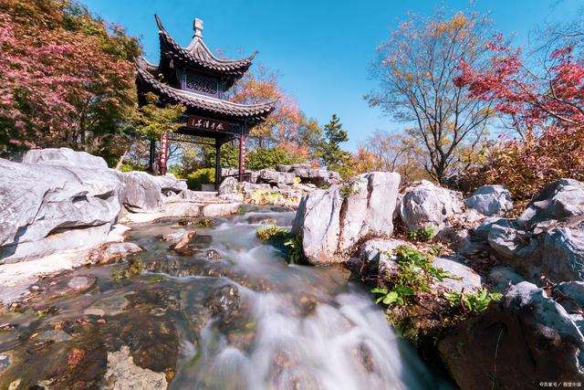 表达不愿参与纷争的句子 与世无争的唯美句子