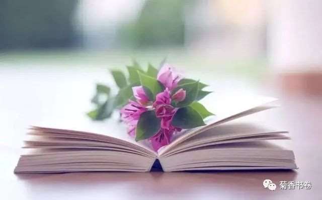 有一种人: 善良诚实,看淡得失,与世无争