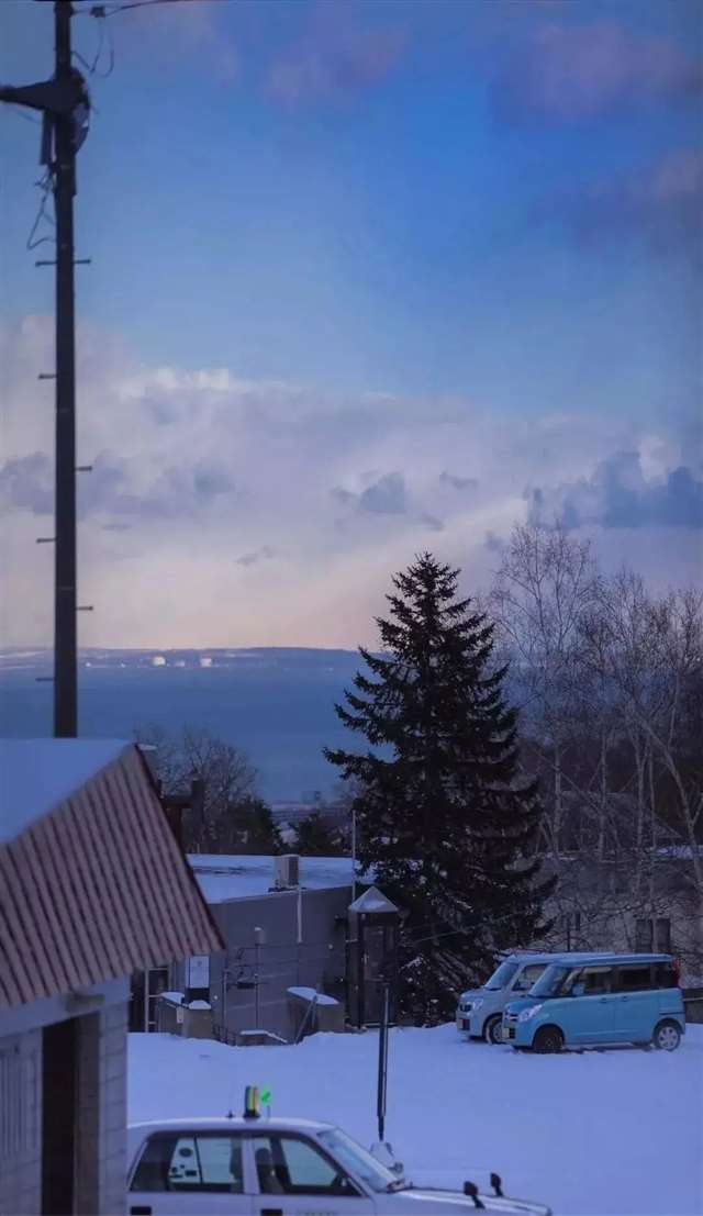 句子 | 我自万种风情,与世无争