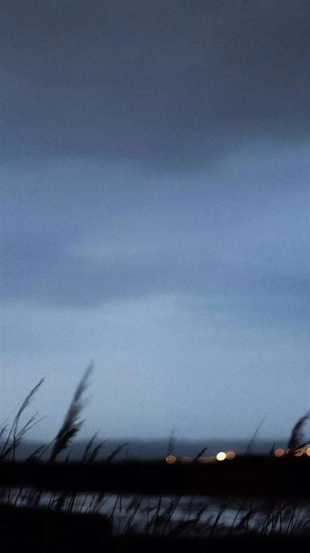 句子 | 我自万种风情,与世无争