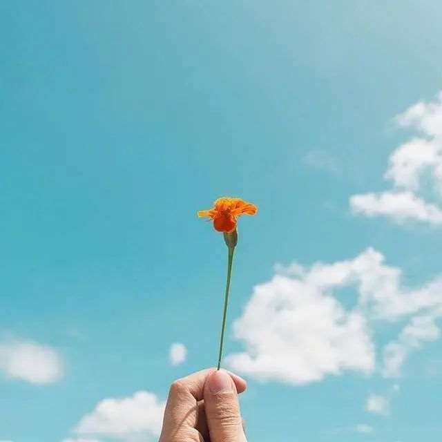 人心换不来人心的感慨,句句入骨,过目不忘!