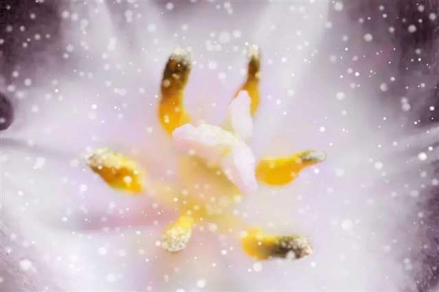 为什么人心换不来人心?(扎心)