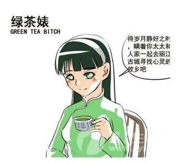 高段绿茶婊子的语录讽刺绿茶心机婊子的句子