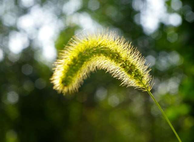 送给把我当傻子的人