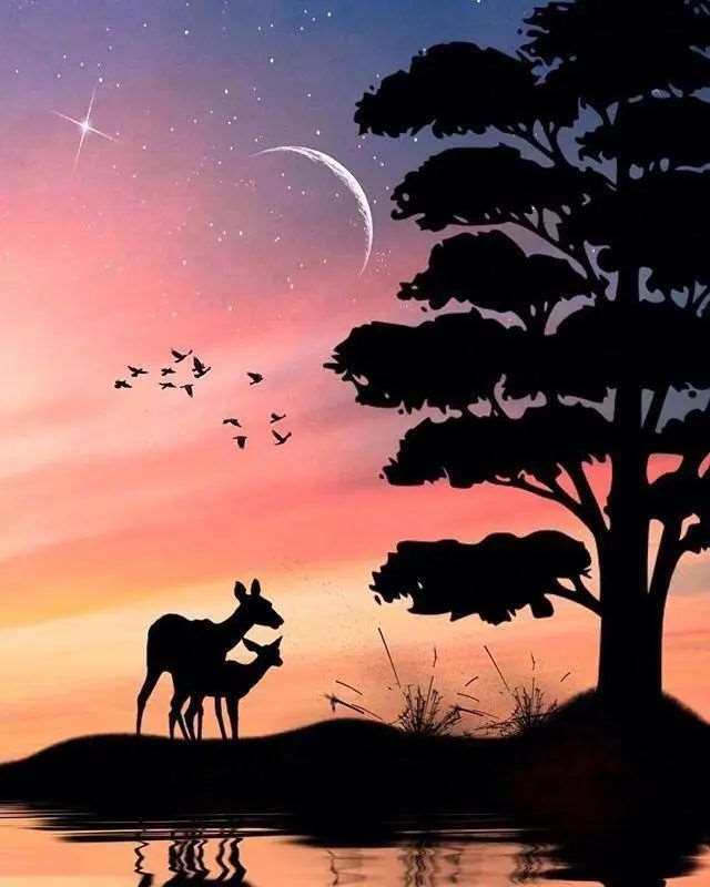 一个人释放心情的说说,经典至极,大彻大悟!